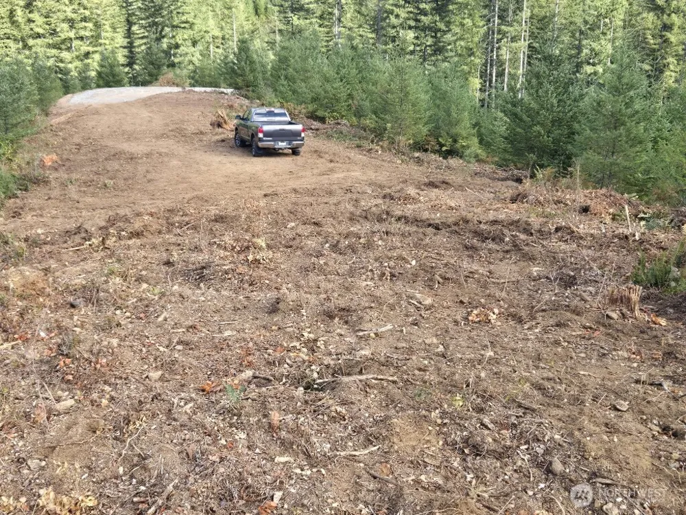 1051 SKAMANIA MINES ROAD Washougal, WA 98671