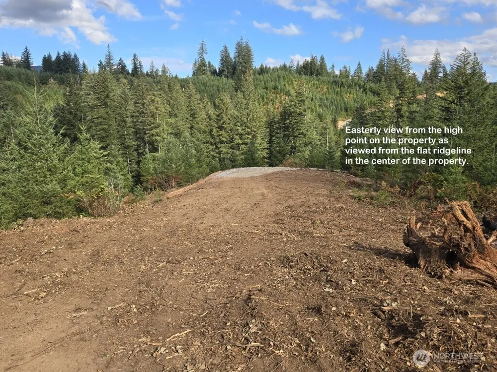 1051 SKAMANIA MINES ROAD Washougal, WA 98671