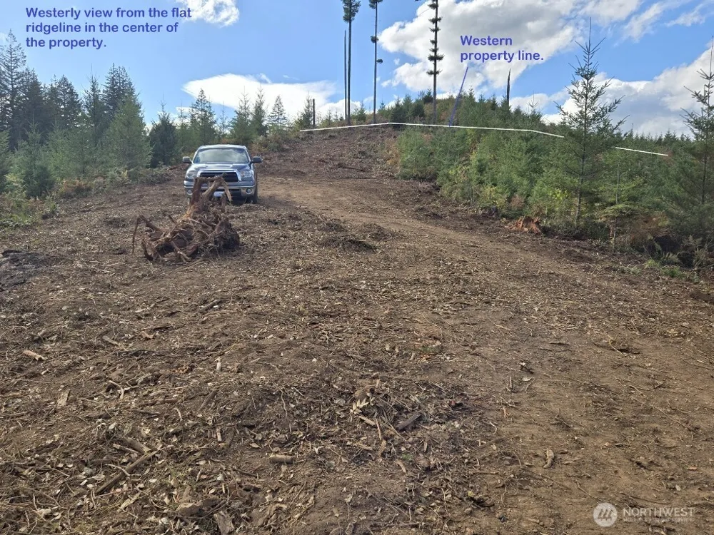 1051 SKAMANIA MINES ROAD Washougal, WA 98671
