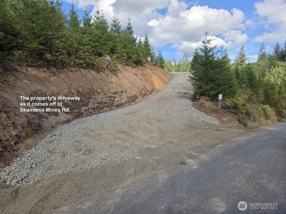 1051 SKAMANIA MINES ROAD Washougal, WA 98671