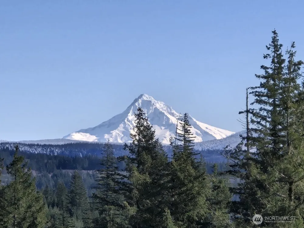 1051 SKAMANIA MINES ROAD Washougal, WA 98671