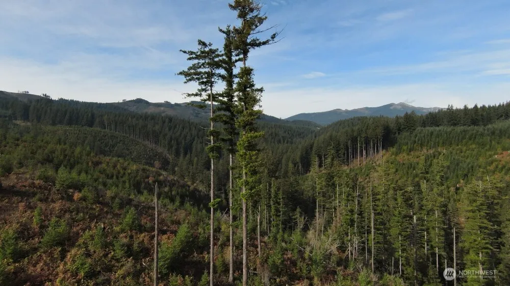 1051 SKAMANIA MINES ROAD Washougal, WA 98671