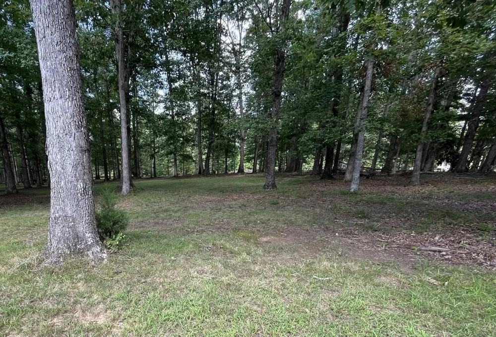 214 Blackberry Farm Rd W Monteagle, TN 37356