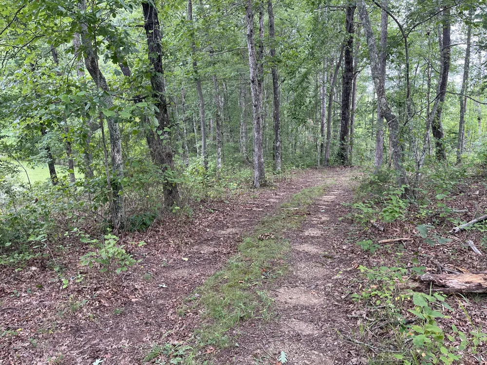 42 Chickory Lane Monteagle, TN 37356