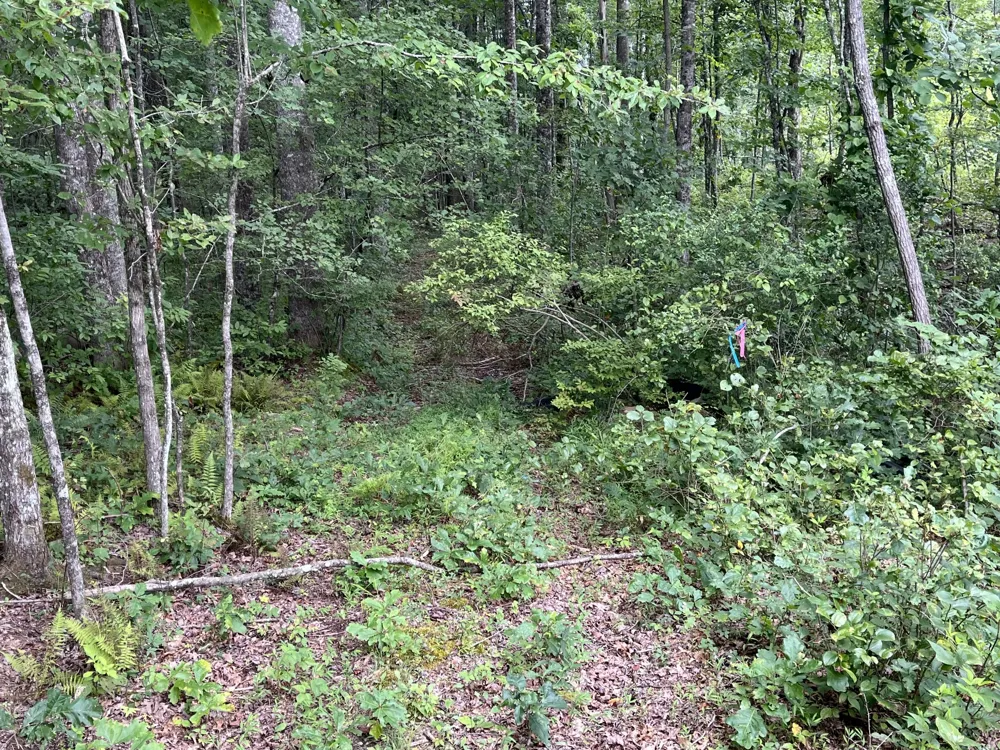 42 Chickory Lane Monteagle, TN 37356