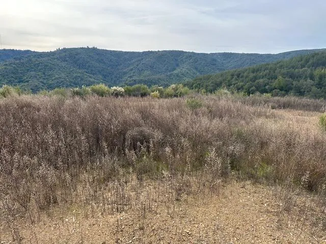 Croy Morgan Hill, CA 95037
