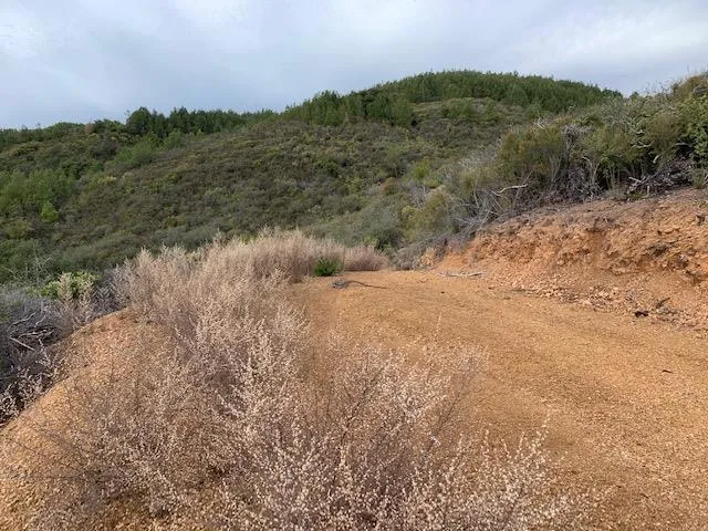 Croy Morgan Hill, CA 95037