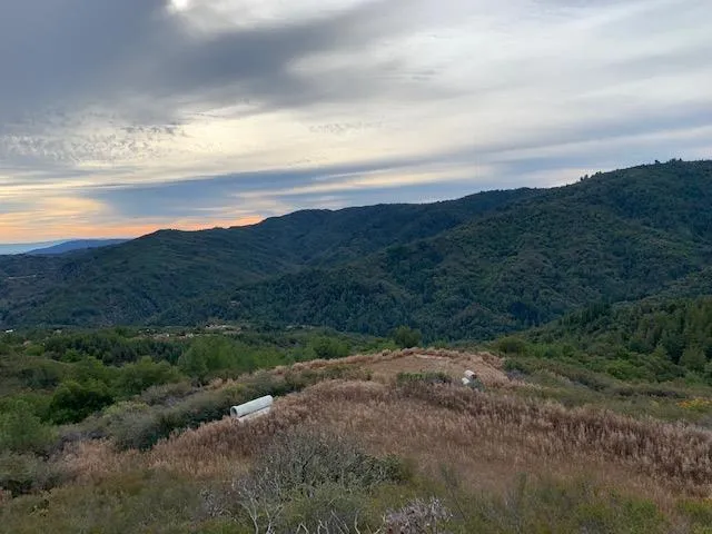 Croy Morgan Hill, CA 95037