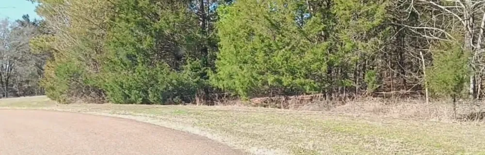 1285 Golf Dr Saulsbury, TN 38067