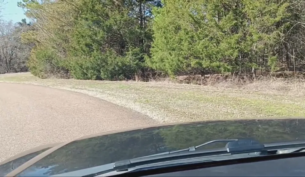 1285 Golf Dr Saulsbury, TN 38067