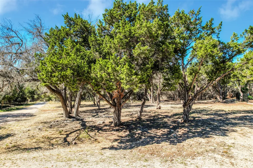 18620 Champions Circle Point Venture, TX 78645