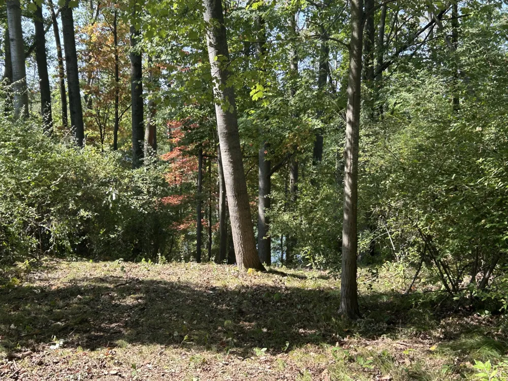 8601 N. Island Drive #41 Canadian Lakes, MI 49346