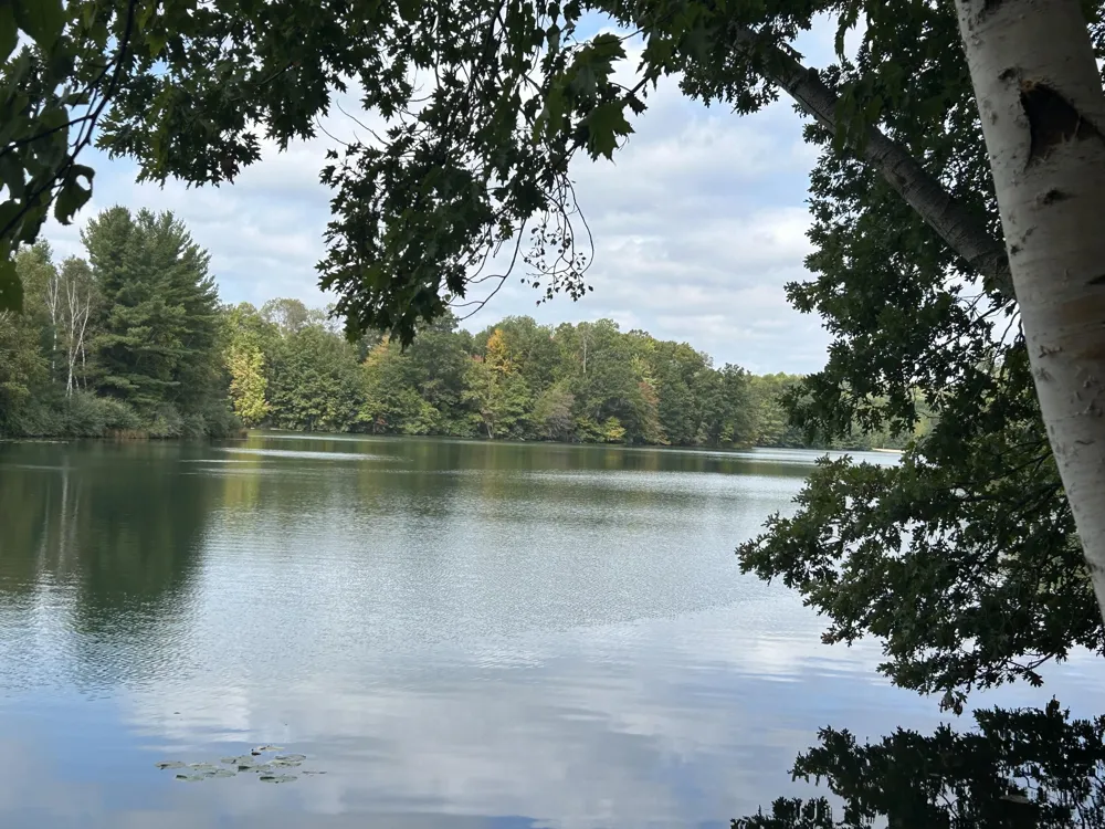 8601 N. Island Drive #41 Canadian Lakes, MI 49346