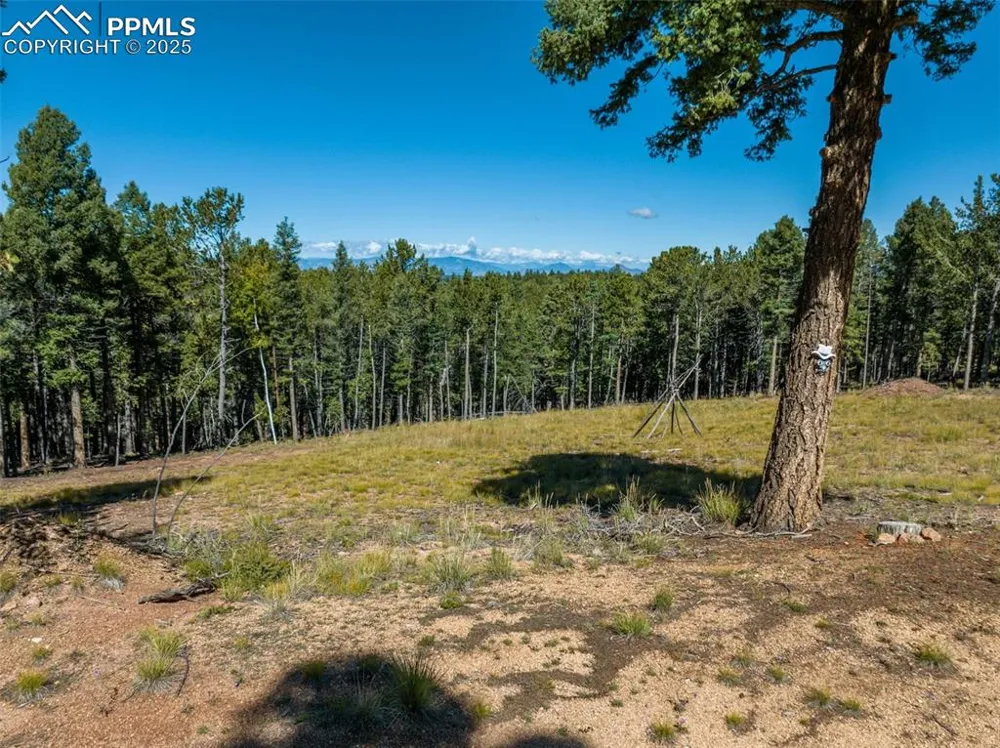 197 Parkview Drive Woodland Park, CO 80863