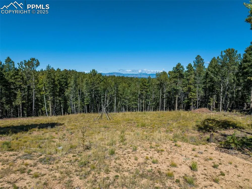 197 Parkview Drive Woodland Park, CO 80863