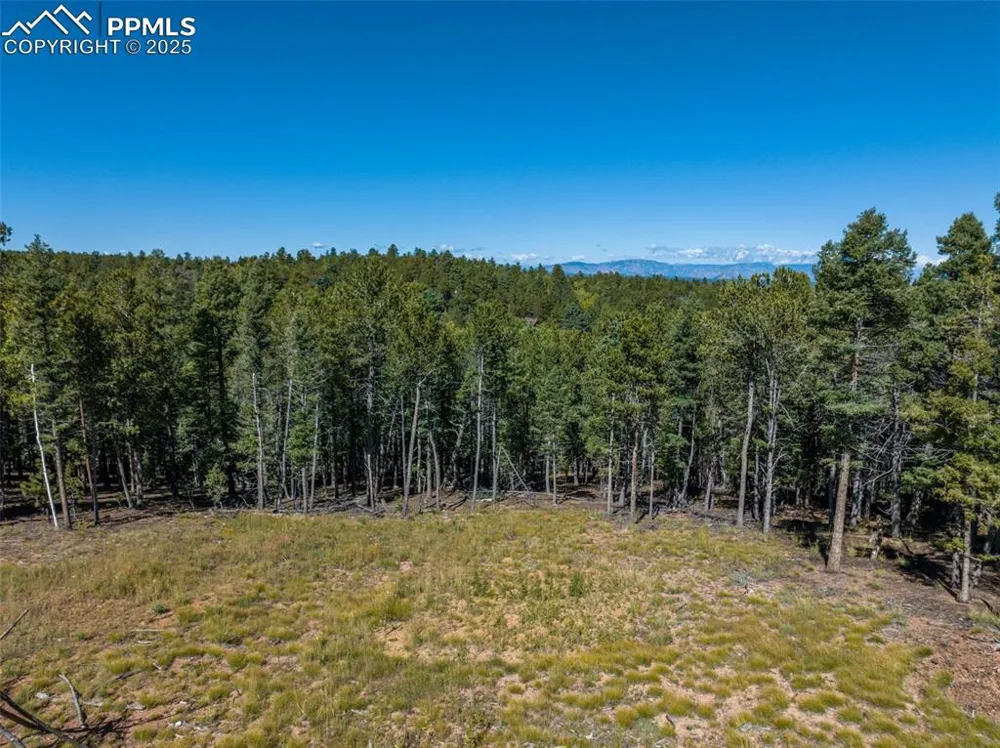 197 Parkview Drive Woodland Park, CO 80863