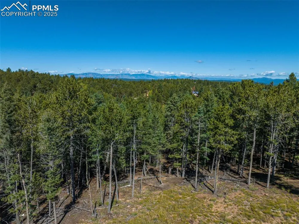 197 Parkview Drive Woodland Park, CO 80863