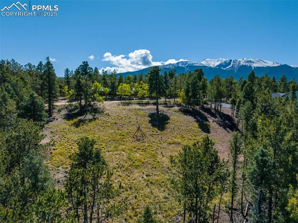197 Parkview Drive Woodland Park, CO 80863