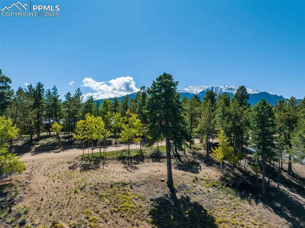 197 Parkview Drive Woodland Park, CO 80863