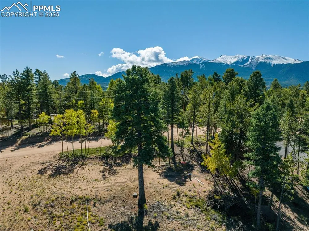 197 Parkview Drive Woodland Park, CO 80863