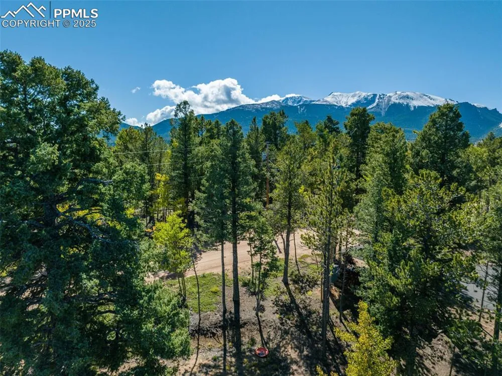 197 Parkview Drive Woodland Park, CO 80863