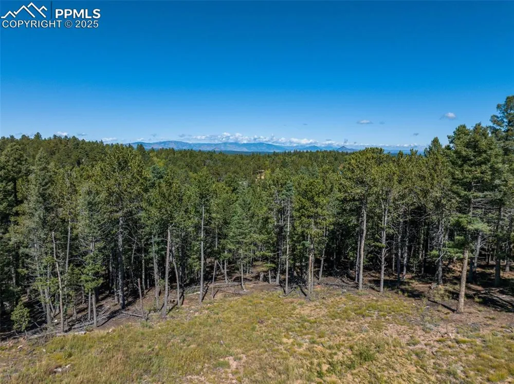 197 Parkview Drive Woodland Park, CO 80863