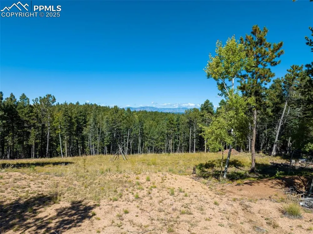197 Parkview Drive Woodland Park, CO 80863