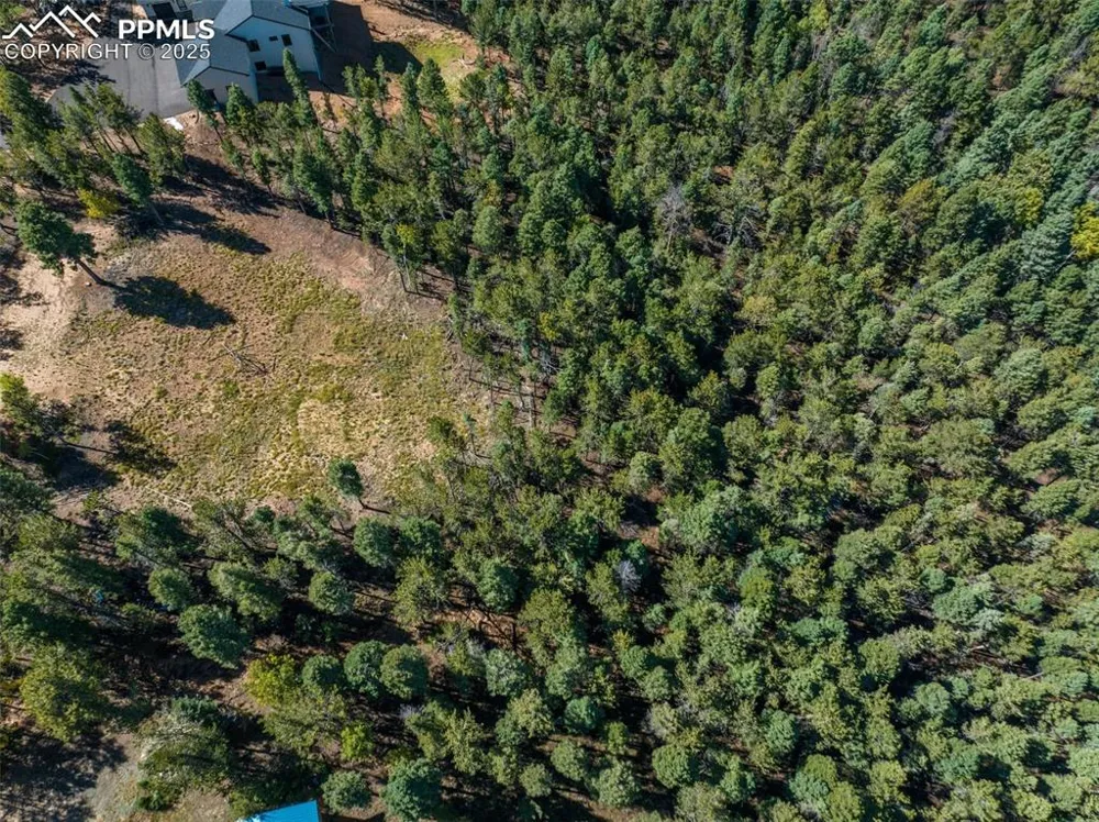 197 Parkview Drive Woodland Park, CO 80863