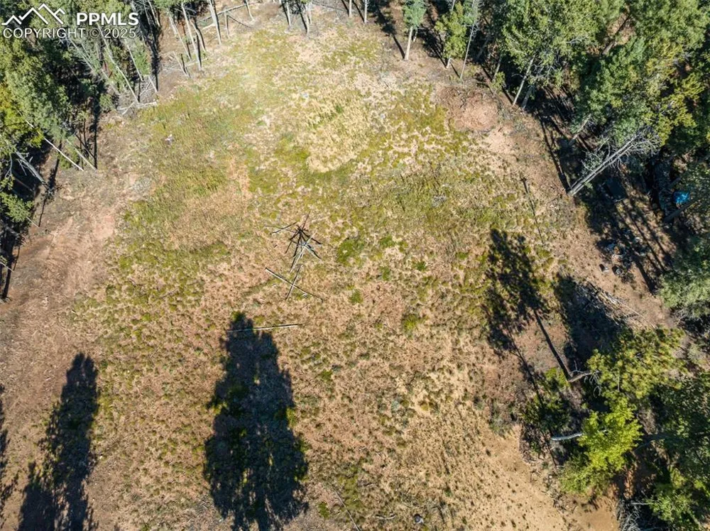 197 Parkview Drive Woodland Park, CO 80863