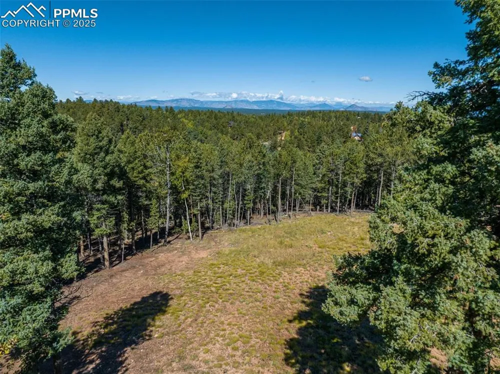 197 Parkview Drive Woodland Park, CO 80863