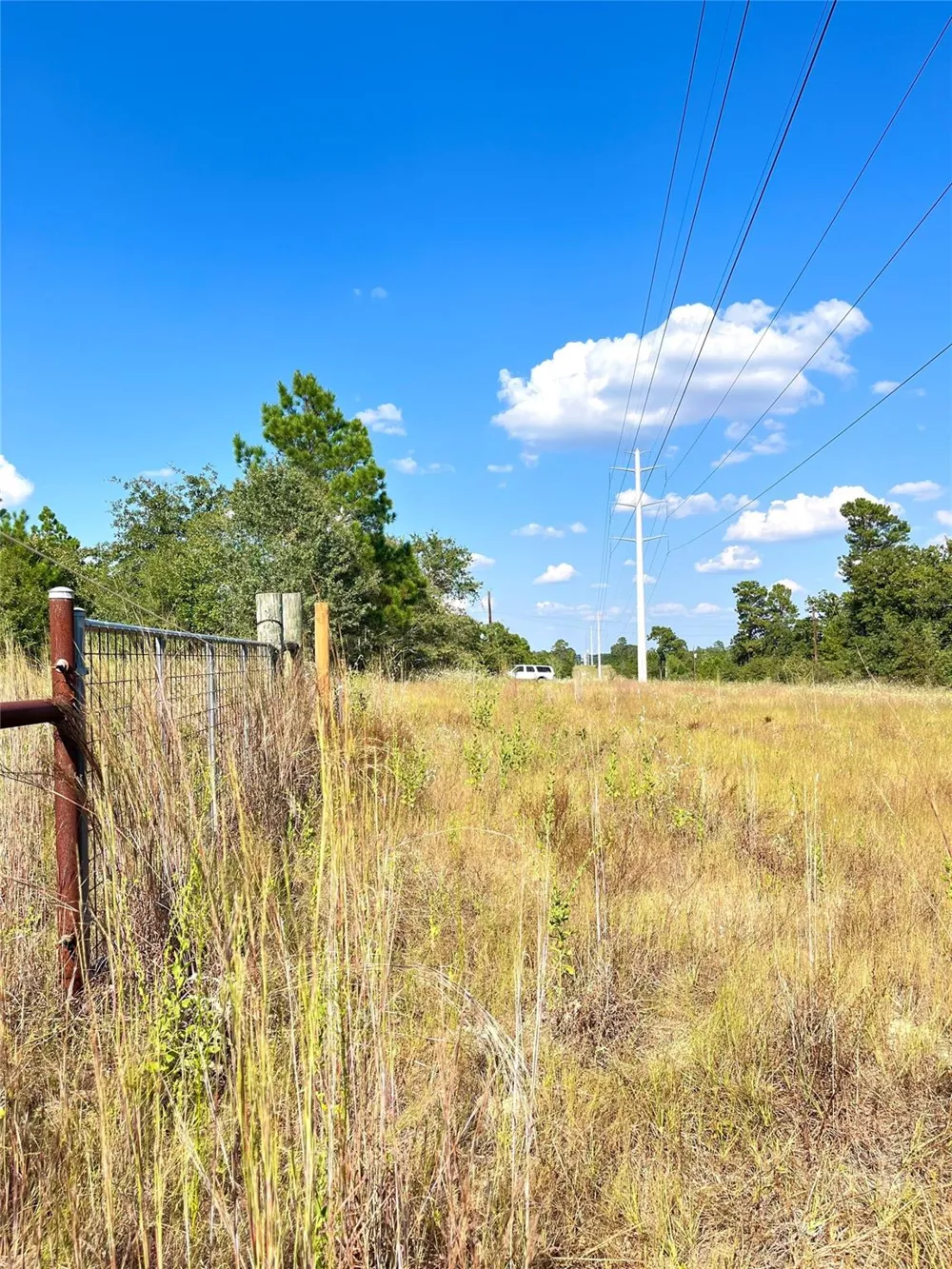 Ponderosa Loop Paige, TX 78659