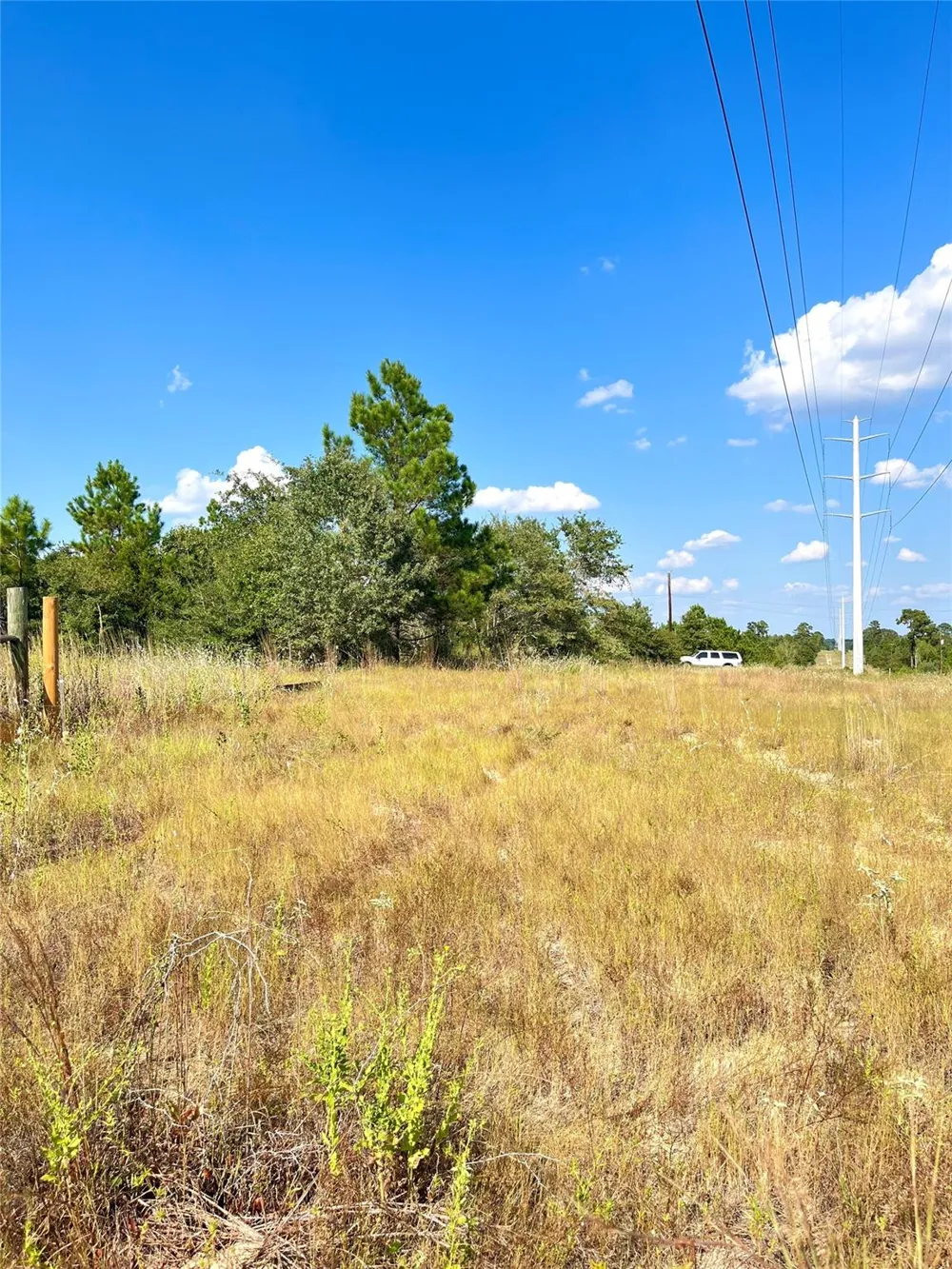 Ponderosa Loop Paige, TX 78659