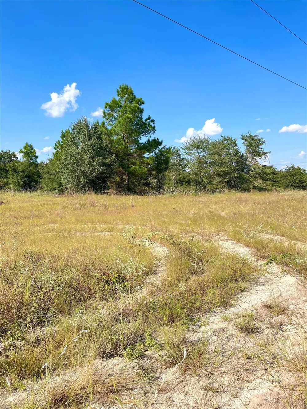 Ponderosa Loop Paige, TX 78659