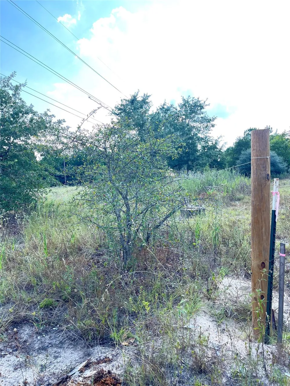 Ponderosa Loop Paige, TX 78659