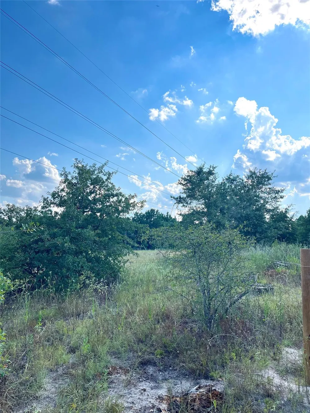 Ponderosa Loop Paige, TX 78659