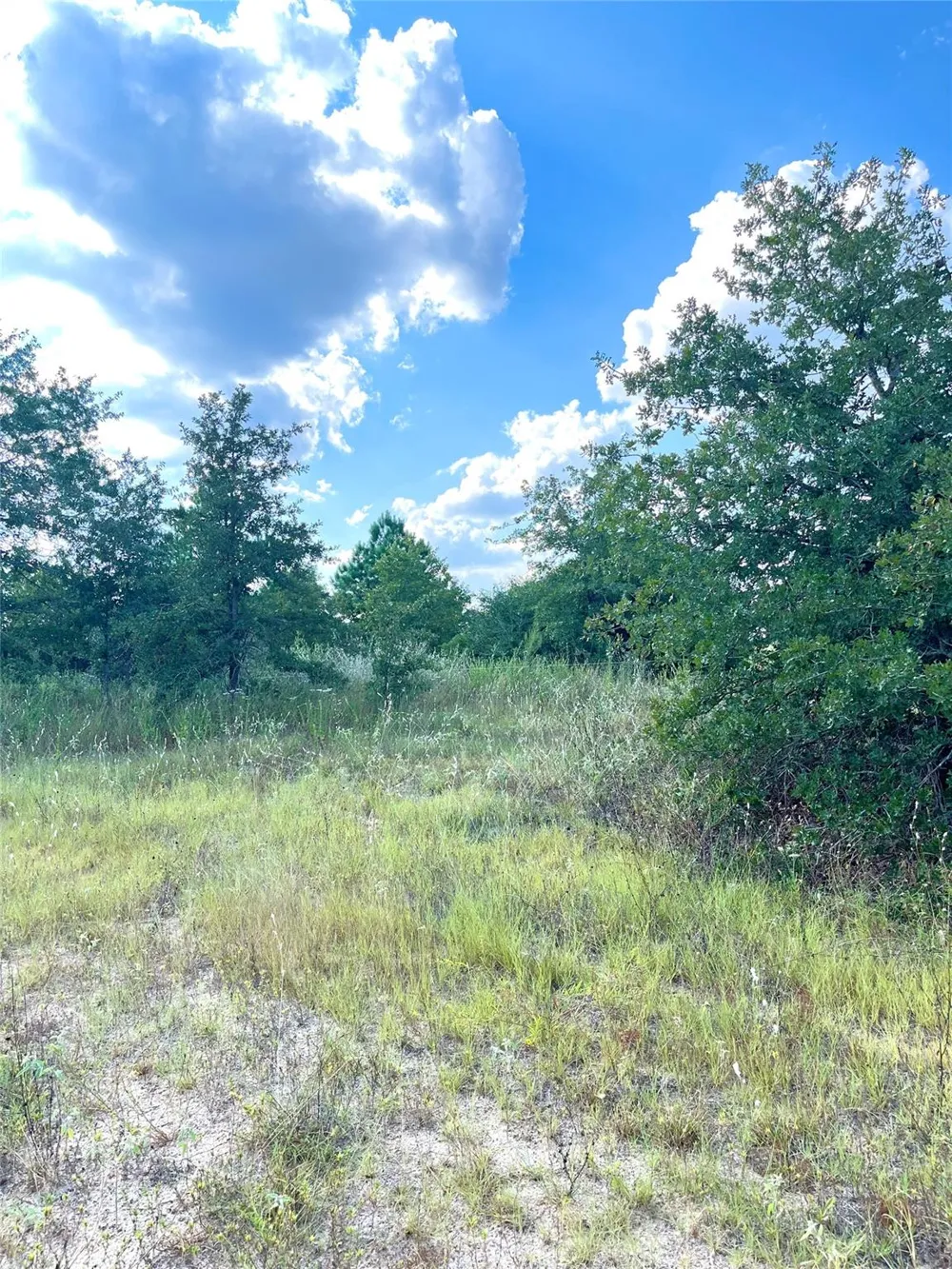 Ponderosa Loop Paige, TX 78659