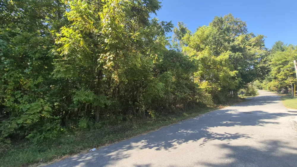 0 Spring Street Monteagle, TN 37356