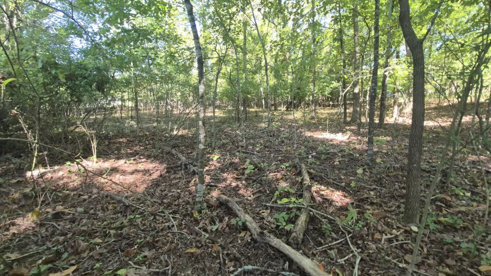 0 Spring Street Monteagle, TN 37356