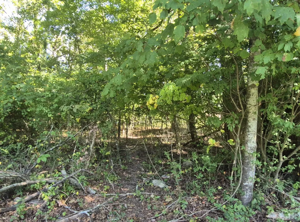 0 Spring Street Monteagle, TN 37356