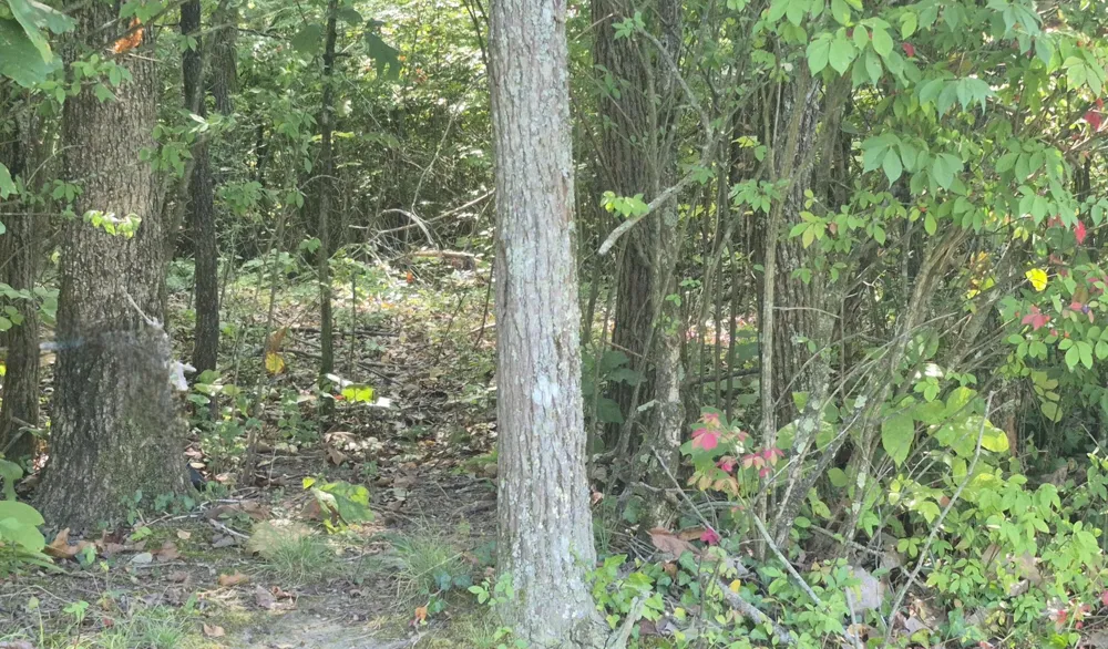 0 Spring Street Monteagle, TN 37356