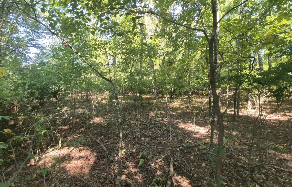 0 Spring Street Monteagle, TN 37356