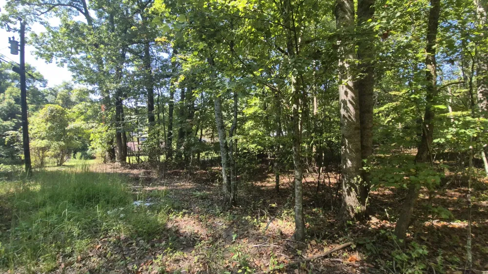 0 Spring Street Monteagle, TN 37356
