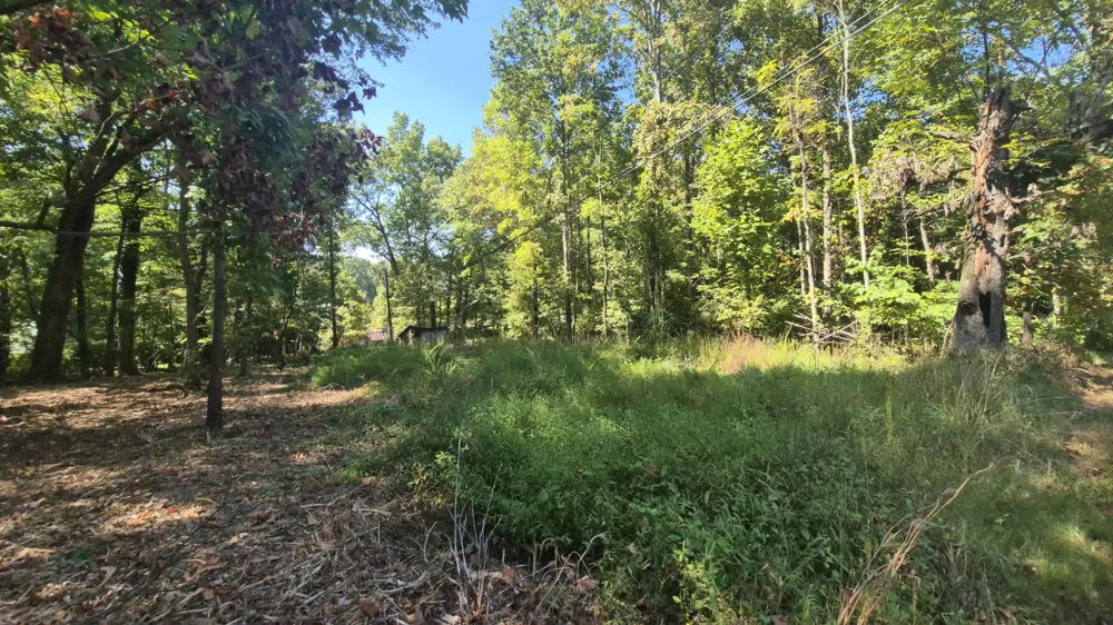 0 Spring Street Monteagle, TN 37356