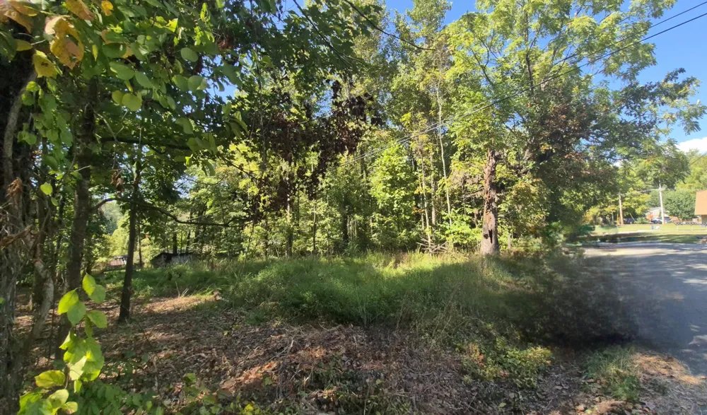 0 Spring Street Monteagle, TN 37356