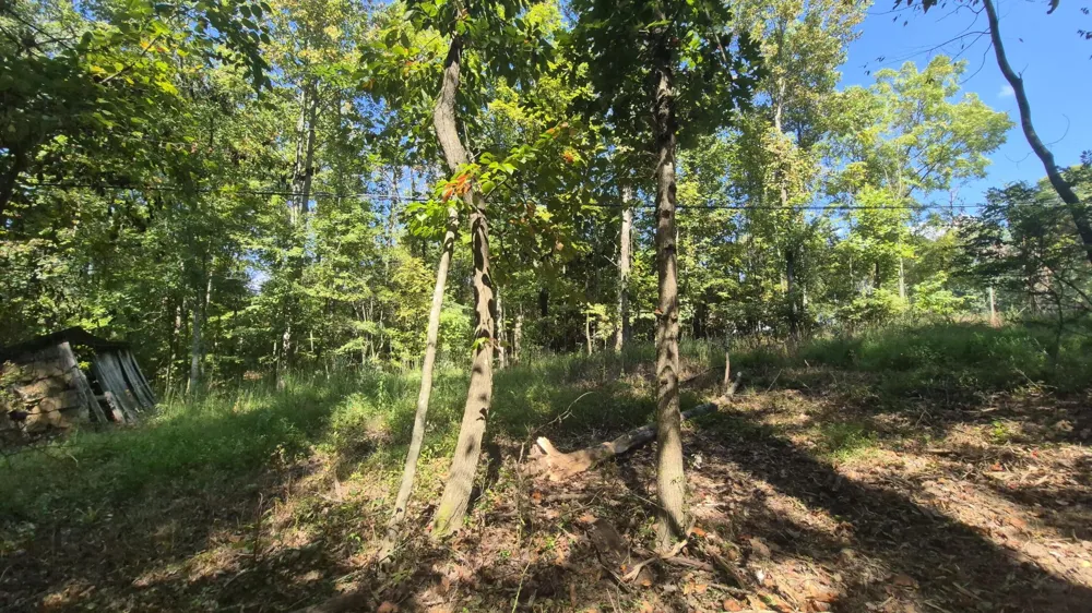 0 Spring Street Monteagle, TN 37356