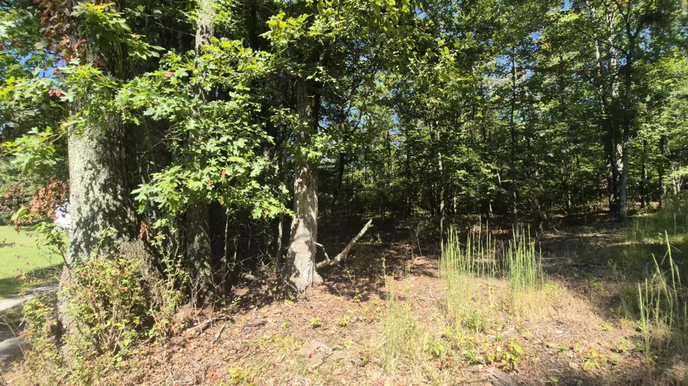 0 Spring Street Monteagle, TN 37356