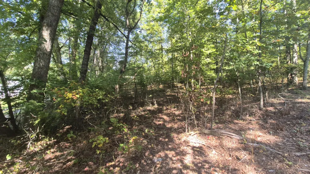 0 Spring Street Monteagle, TN 37356
