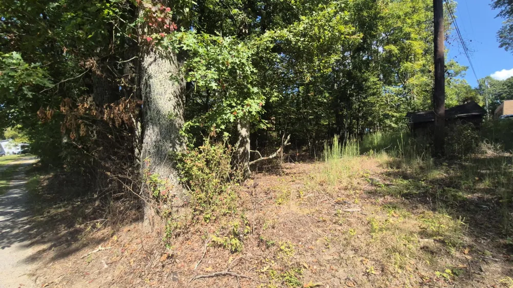 0 Spring Street Monteagle, TN 37356