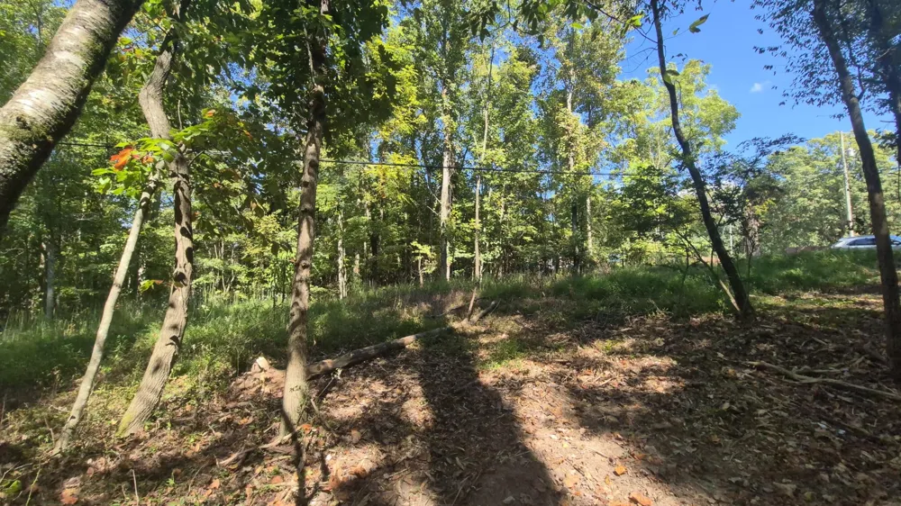 0 Spring Street Monteagle, TN 37356