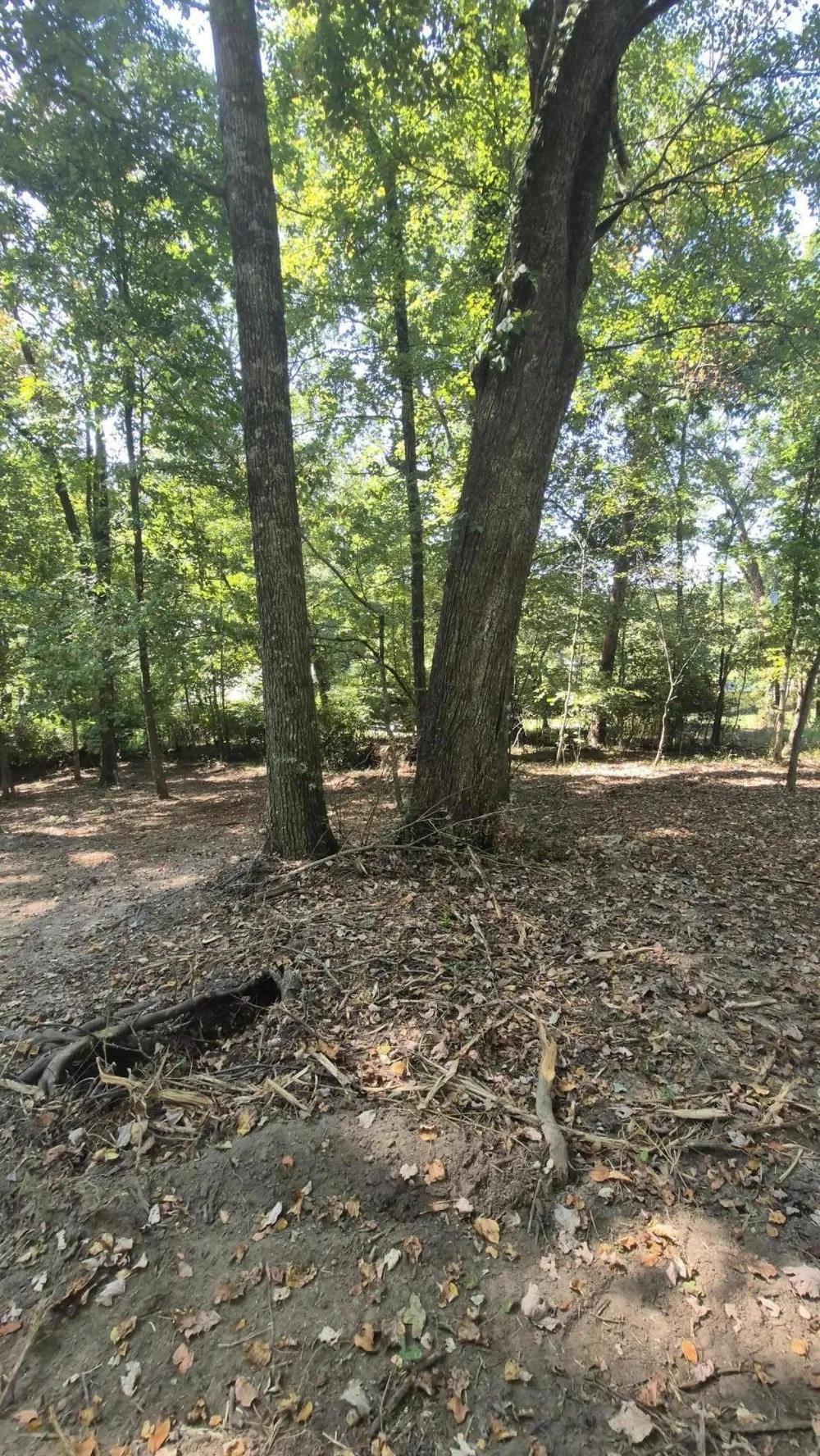 0 Spring Street Monteagle, TN 37356